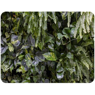 Benjamin Tate Design urban jungle, modern interior decoration Designer Blanket in Natural Size: 120 cm x 150 cm Natural 120 cm x 150 cm Benjamin Tate Design urban jungle, modern interior decoration Designer Blanket in Natural Size: 120 cm x 150 cm Natural 120 cm x 150 cm