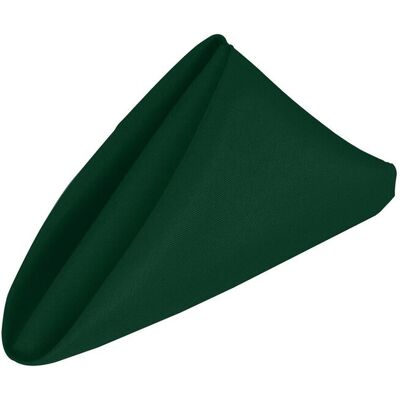 Neel Blue 20 Inch Polyester Table Napkins, Reusable, Wrinkle-Resistant - 50x50cm in Green Size: 50x50 cm Green 50x50 cm Neel Blue 20 Inch Polyester Table Napkins, Reusable, Wrinkle-Resistant - 50x50cm in Green Size: 50x50 cm Green 50x50 cm