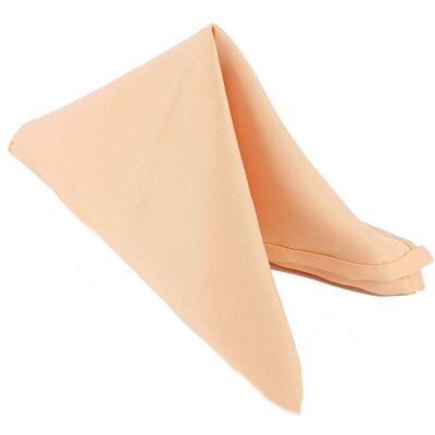 Neel Blue 20 Inch Polyester Table Napkins, Reusable, Wrinkle-Resistant - 50x50cm in Peach Size: 50x50 cm Peach 50x50 cm Neel Blue 20 Inch Polyester Table Napkins, Reusable, Wrinkle-Resistant - 50x50cm in Peach Size: 50x50 cm Peach 50x50 cm