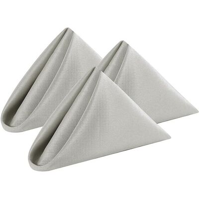 Neel Blue 20 Inch Polyester Table Napkins, Reusable, Wrinkle-Resistant Cloth Napkins, 10pcs in Grey Grey Neel Blue 20 Inch Polyester Table Napkins, Reusable, Wrinkle-Resistant Cloth Napkins, 10pcs in Grey Grey