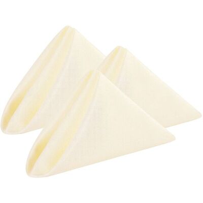 Neel Blue 20 Inch Polyester Table Napkins, Reusable, Wrinkle-Resistant Cloth Napkins, 10pcs in Ivory Ivory Neel Blue 20 Inch Polyester Table Napkins, Reusable, Wrinkle-Resistant Cloth Napkins, 10pcs in Ivory Ivory
