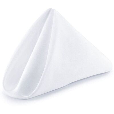 Neel Blue 20 Inch Polyester Table Napkins, Reusable, Wrinkle-Resistant Cloth Napkins, 10pcs in White White Neel Blue 20 Inch Polyester Table Napkins, Reusable, Wrinkle-Resistant Cloth Napkins, 10pcs in White White
