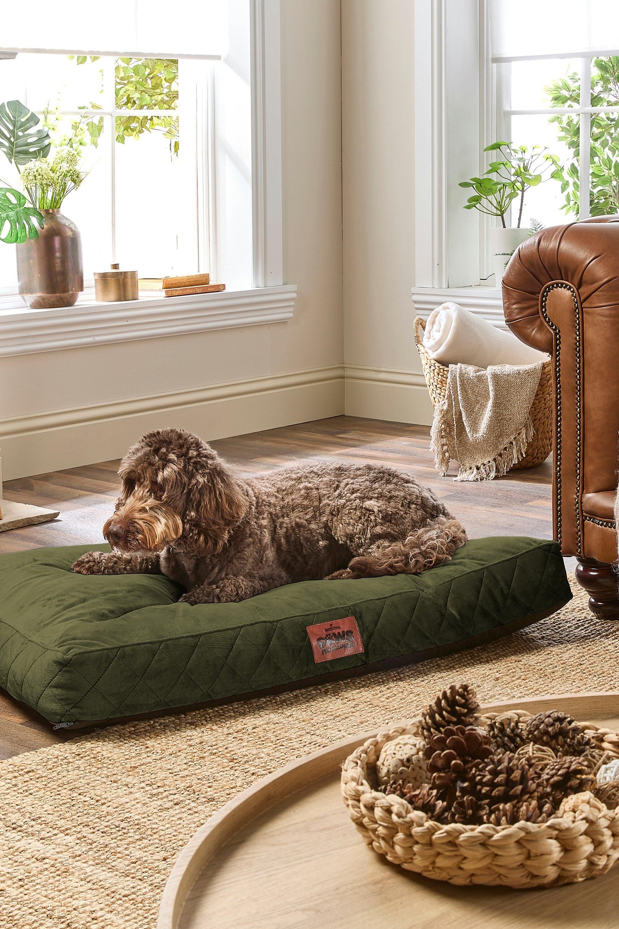 Slumberdown Paws for Slumber Large Pet Bed