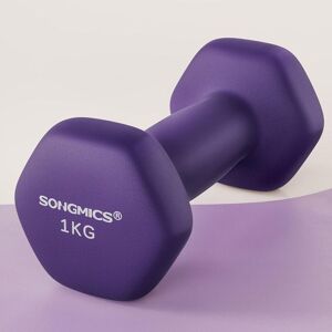 SONGMICS Hex Dumbbell Pair Neoprene Lightweight Workout Weights in Purple Purple SONGMICS Hex Dumbbell Pair Neoprene Lightweight Workout Weights in Purple Purple