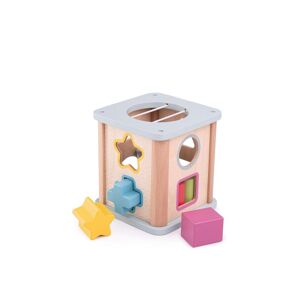 Bigjigs Toys Shape Sorter