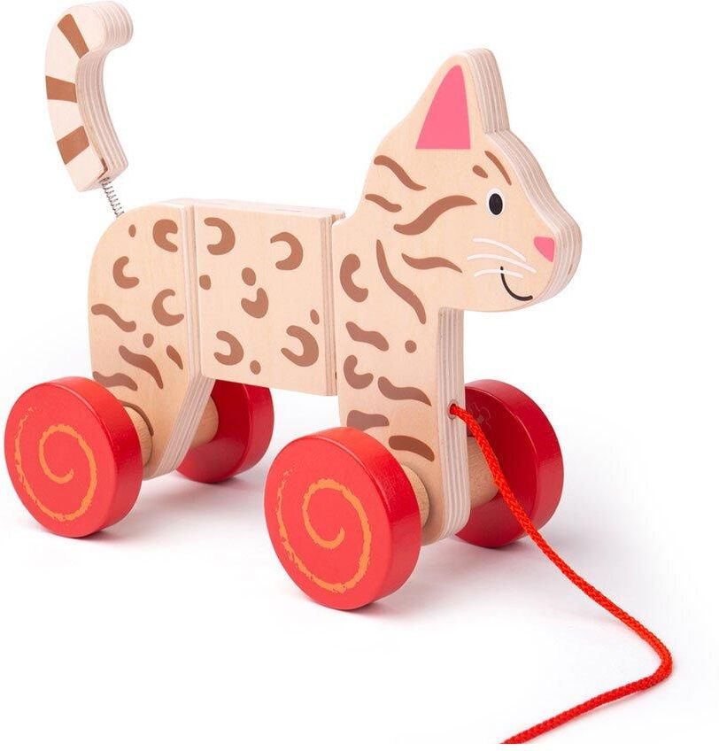 Bigjigs Toys Pull Along Cat