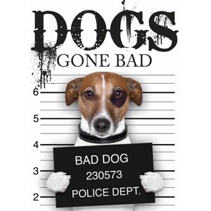 Boxer Gifts Dogs Gone Bad Book Multicolor Boxer Gifts Dogs Gone Bad Book Multicolor