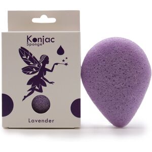 KDMD Teardrop Konjac Sponge - Lavender - Calming in Purple Purple KDMD Teardrop Konjac Sponge - Lavender - Calming in Purple Purple