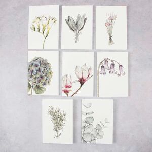 Toasted Crumpet Botanicals Notecard Set - Mixed Box of 8