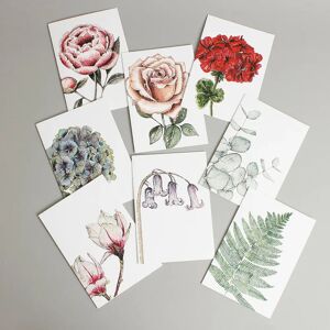 Toasted Crumpet Blooming Marvellous Notecard Set - Mixed Box of 8