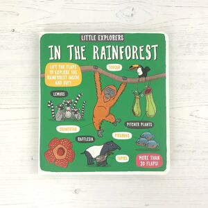 Books Little Explorers: In The Rainforest