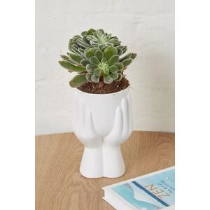 Joy Hand Planter White White Female