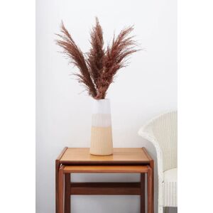 Joy 3 Stems of Chocolate Dried Pampas Grass Unisex