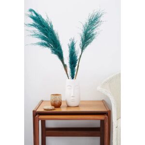 Joy 3 Stems of Sea Green Pampas Grass red Unisex