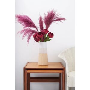 Joy 3 Stems of Wine Dried Pampas Grass Unisex