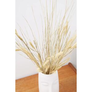 Joy Dried Cats Tail Grass Unisex