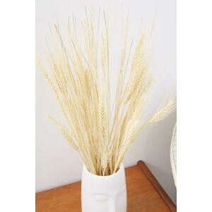 Joy Dried Wheat Grass Unisex