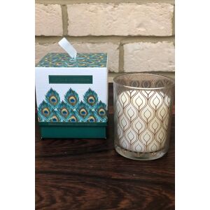 Joy Vanilla And Lime Verbena Peacock Design Glass Filled Candle Vanilla Female