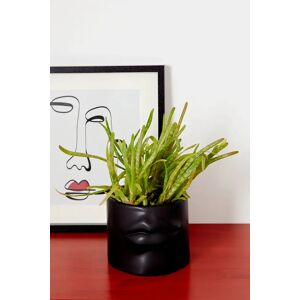 Joy Relief Lips Planter Black Black Unisex