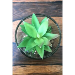 Joy Faux Echeveria In Glass Pot With Stand Unisex