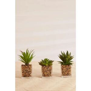 Joy Set Of 3 Artificial Succulents In Glass Pots Female