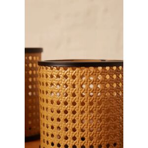 Joy Set Of 2 Woven Cane Effect Planters Female