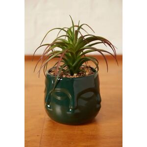 Joy Large Faux Succulent In A Ceramic Face Planter Teal Female