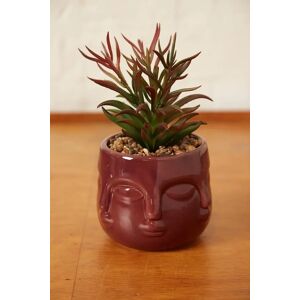 Joy Large Faux Succulent In A Ceramic Face Planter Berry Female