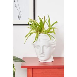 Joy Large Venus Head Planter White White Unisex