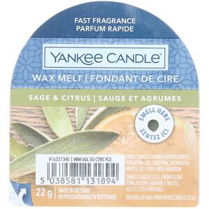 Yankee Candle Candle Original Wax Melt candle #Sage & Citrus Yankee Candle Candle Original Wax Melt candle #Sage & Citrus