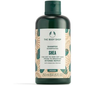 The Body Shop Shea shampoo 250 ml