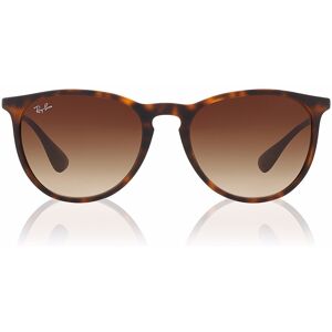 Ray-Ban RB4171 865/13 54 mm