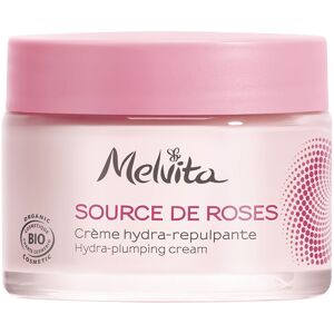 Melvita Source de Roses Cream - Hydrating Organic Rose for Dry Skin Melvita Source de Roses Cream - Hydrating Organic Rose for Dry Skin