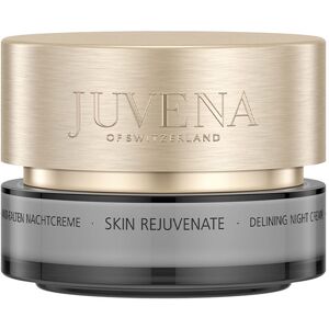 Skin Rejuvenate delining night cream 50 ml Skin Rejuvenate delining night cream 50 ml