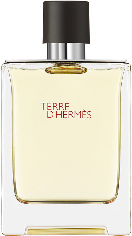 Terre D’HERMÈS eau de toilette spray 100 ml