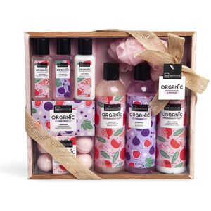 Idc Institute Organic Pomegranate & Fig Fruit Case 9 pcs Idc Institute Organic Pomegranate & Fig Fruit Case 9 pcs