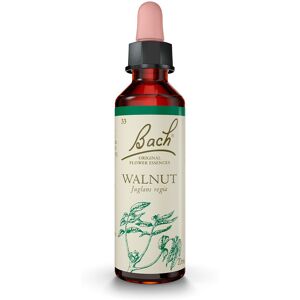 Bach Flowers Walnut 33 20Ml.