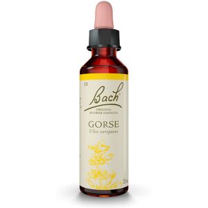 Bach Flowers (13) gorse 20 ml