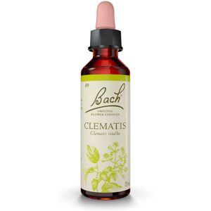 Bach Flowers (09) clematis 20 ml