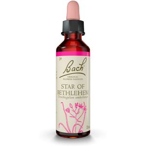 Bach Flowers (29) star of bethlem 20 ml