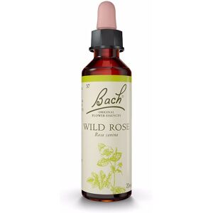 Flores De Bach (37) wild rose 20 ml