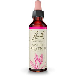 Bach Sweet Chestnut (Sweet Chestnut) 20 Ml