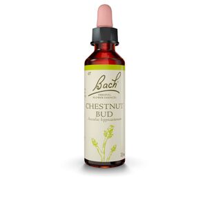 Bach Flowers (07) chestnut bud 20 ml