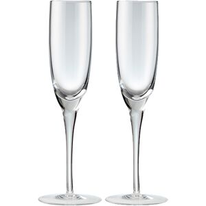 Denby China Set Of 2 Champagne Flutes