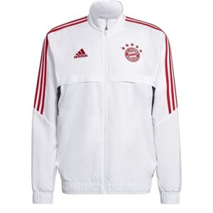 adidas FC Bayern Pre Match Jacket Mens - male - White - XS