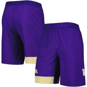 Men's adidas Purple Washington Huskies Training Shorts - Male - Purple