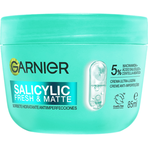 Garnier Salicylic Fresh and Matte Hydrating Sorbet Face Cream 85mL Garnier Salicylic Fresh and Matte Hydrating Sorbet Face Cream 85mL