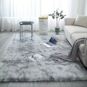 Temu 1pc Super Fluffy Living Room Rugs, Tie-dyed Shaggy Rug, Fluffy Throw Carpets, Soft Plush Fuzzy Rugs For Bedroom Girls Kids Nursery Room Dorm Home Decor  120*160cm