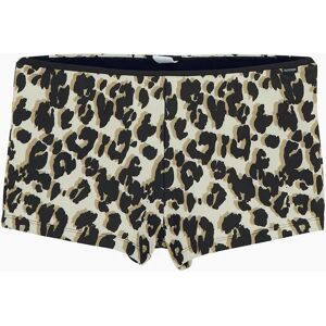 Women's Regatta Womens/Ladies Aceana Leopard Print Bikini Shorts - Multi - Size: 10 uk Women's Regatta Womens/Ladies Aceana Leopard Print Bikini Shorts - Multi - Size: 10 uk