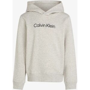Calvin Klein Kids Logo Regular Terry Hoodie in Grey - Size: 12 yrs Calvin Klein Kids Logo Regular Terry Hoodie in Grey - Size: 12 yrs
